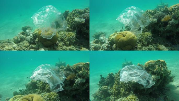 垃圾塑料袋漂浮在红海的珊瑚礁上