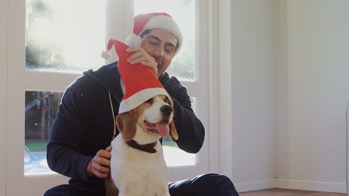 男子给他的宠物狗戴圣诞帽