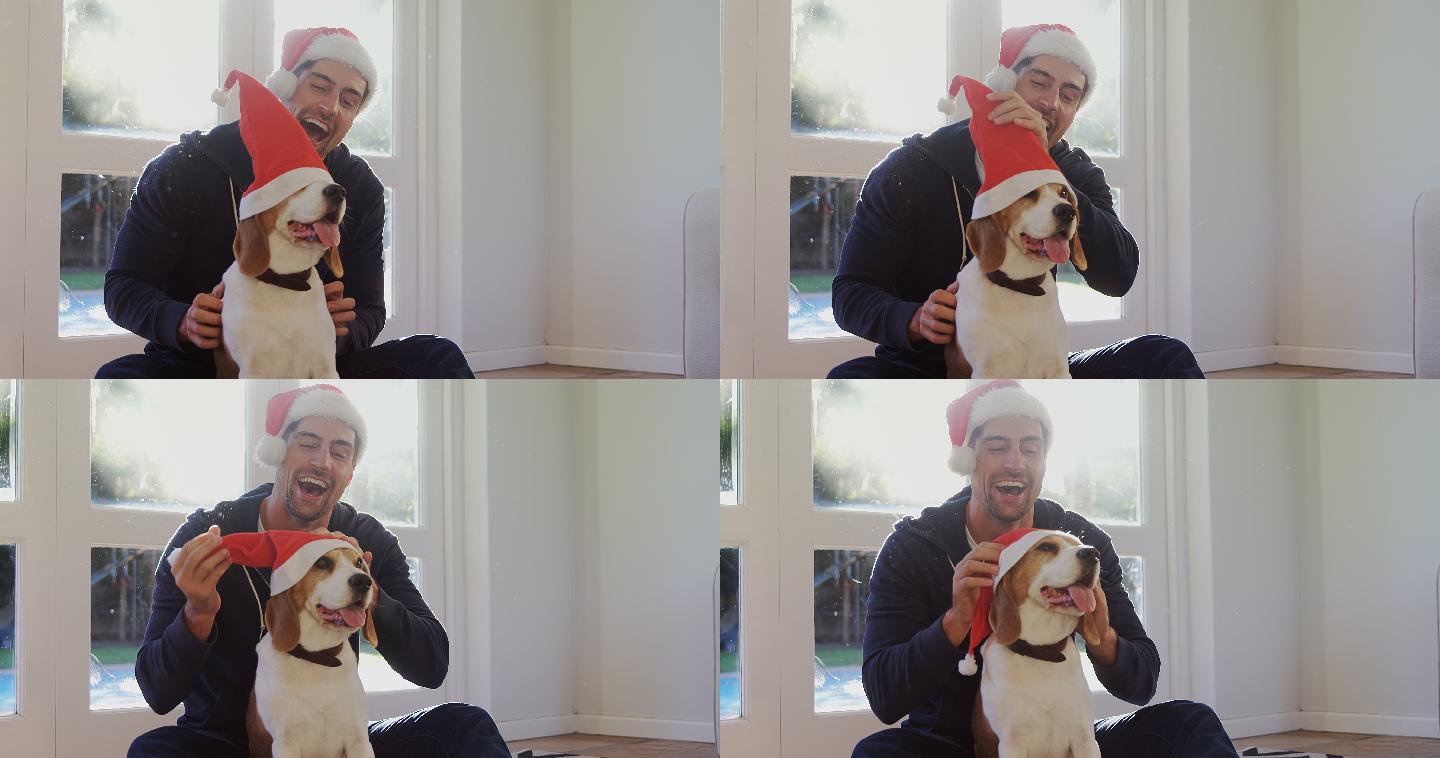 男子给他的宠物狗戴圣诞帽