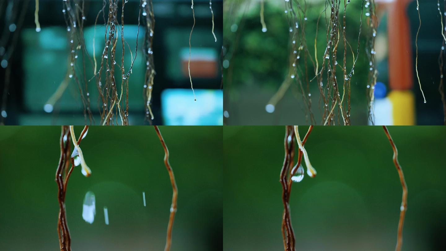 水珠雨滴