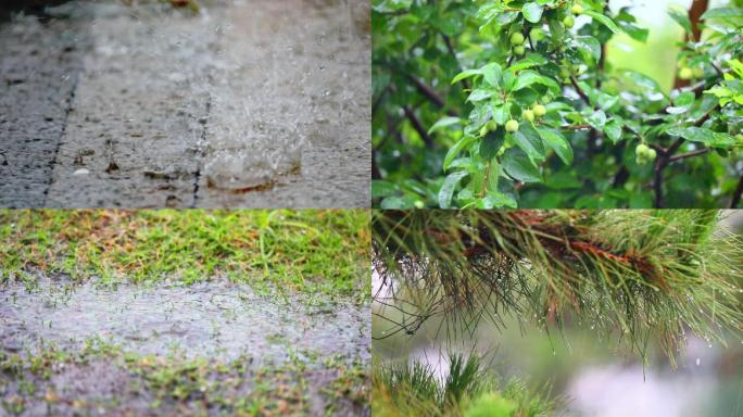 城市公园下雨视频素材