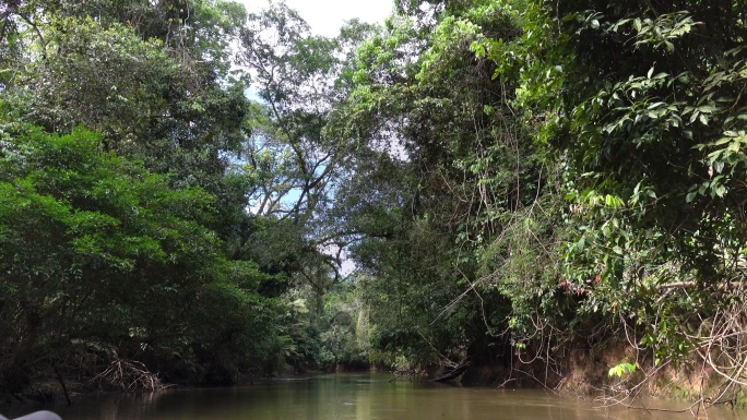 在亚马逊河流域的库亚贝诺保护区航行。