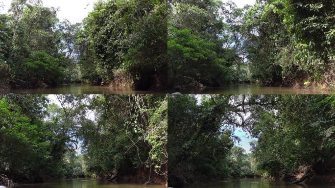 在亚马逊河流域的库亚贝诺保护区航行。