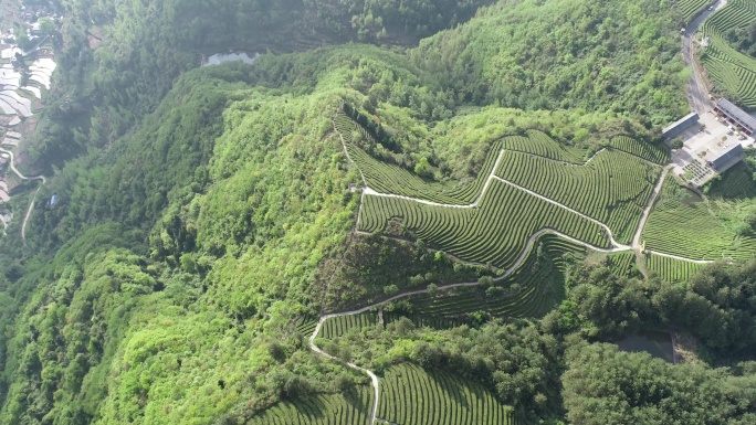 4K茶山航拍原始素材