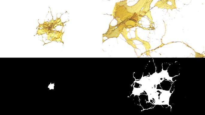 白色背景上的石油飞溅的Cg动画。