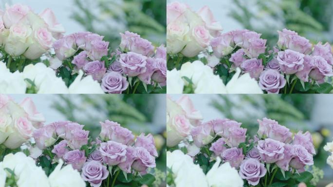 紫色小清新玫瑰花