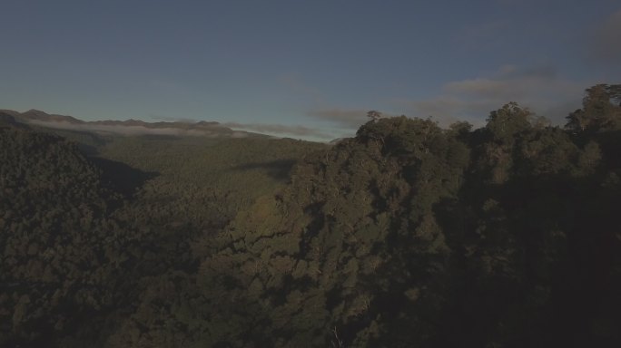 森林高山