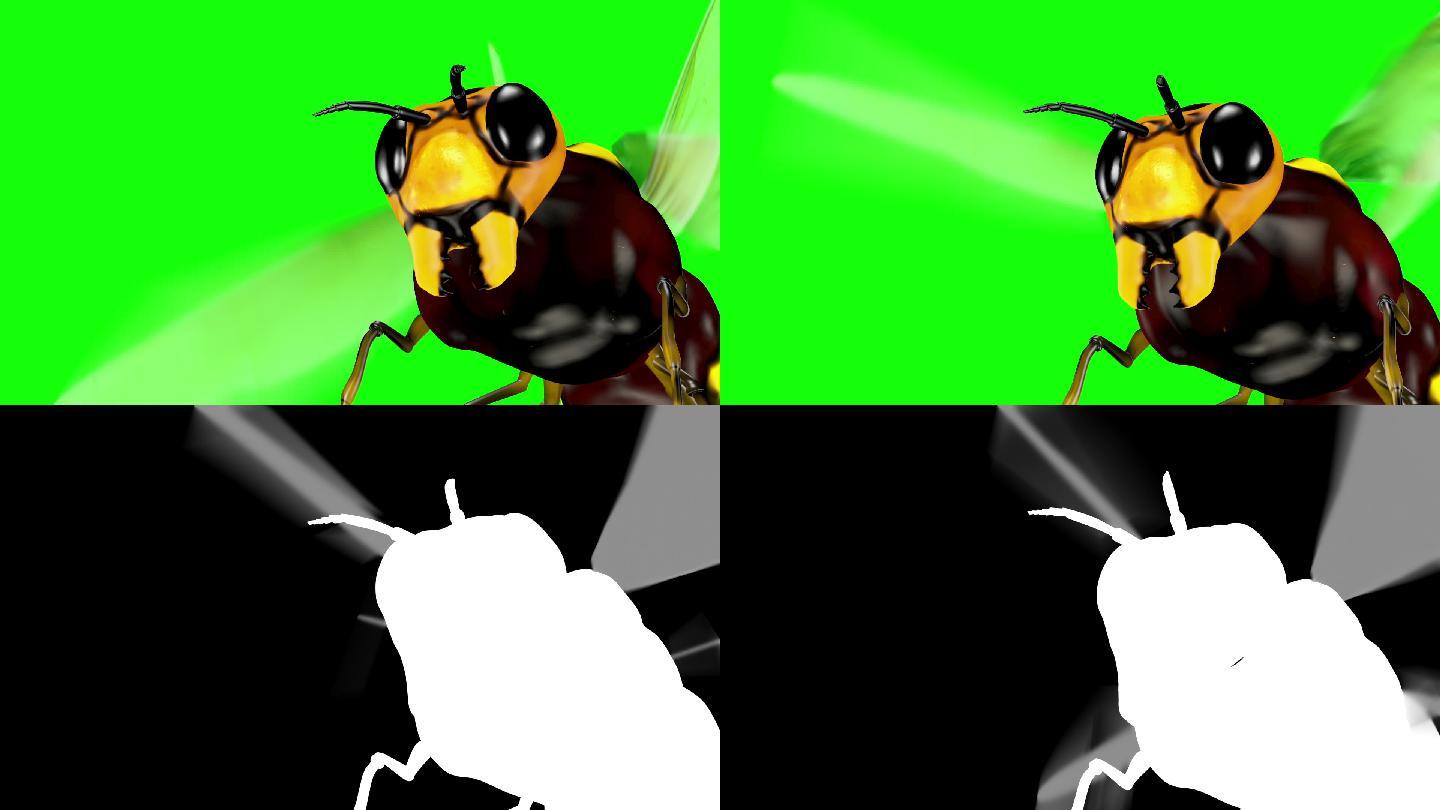 动画逼真3D蜜蜂