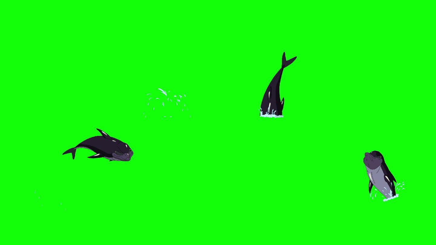 海豚跳出水面。