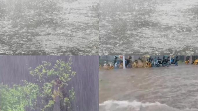 雨中实拍狂风暴雨视频素材