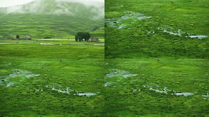 绿美雨中川西草原唯美风景素材