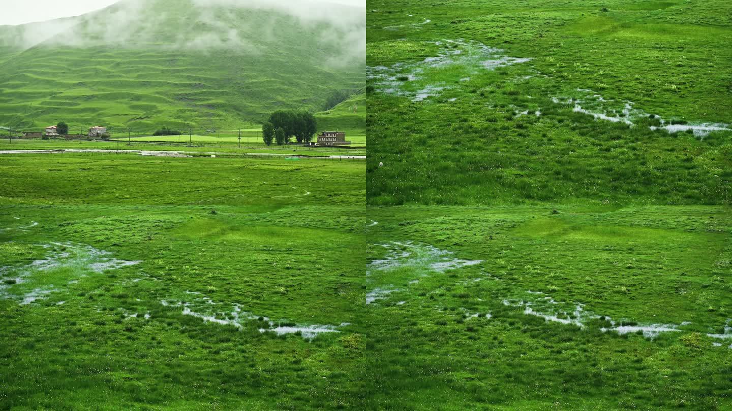 绿美雨中川西草原唯美风景素材