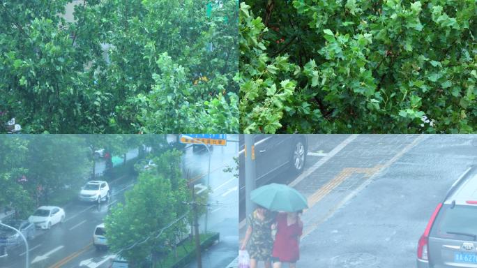 下大雨雷雨雨水树叶4K