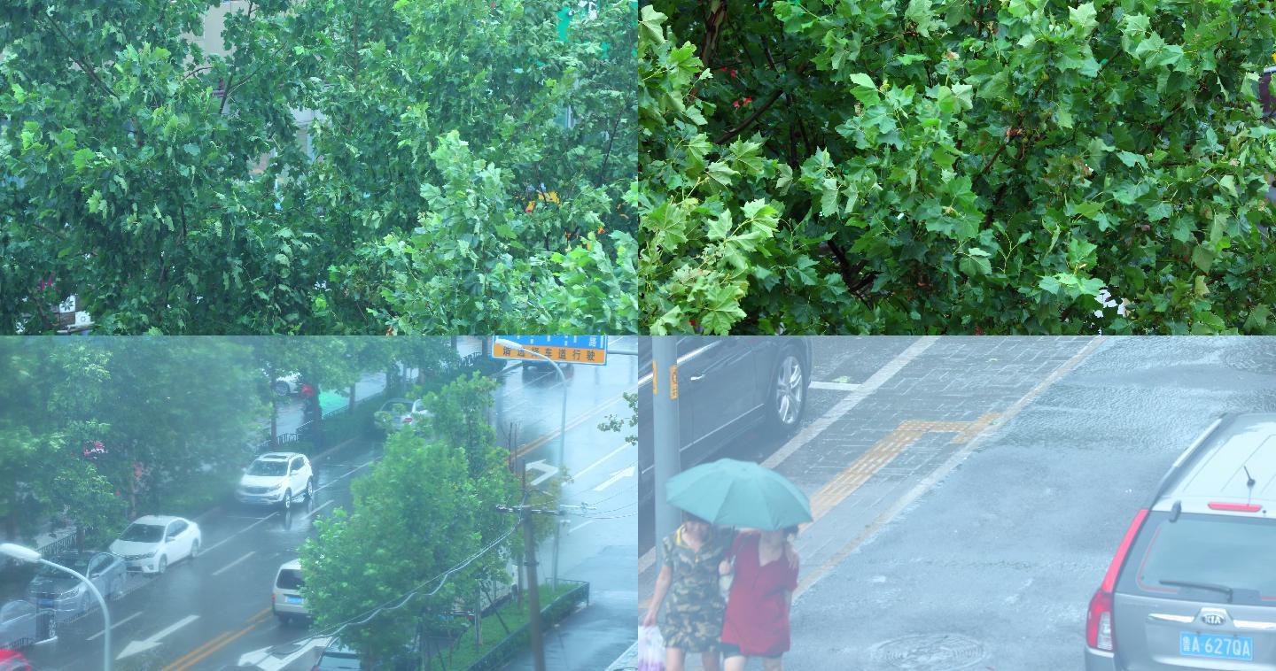 下大雨雷雨雨水树叶4K