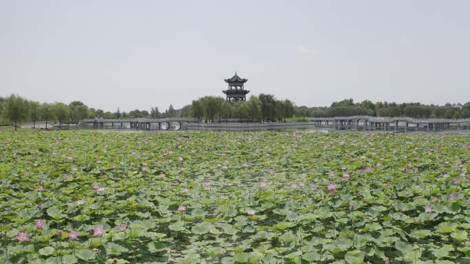 岐山县凤鸣湖1