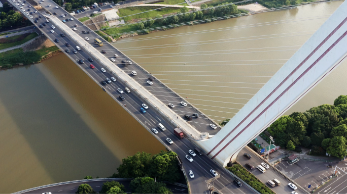 世界上跨度最大的竖琴式斜拉桥
