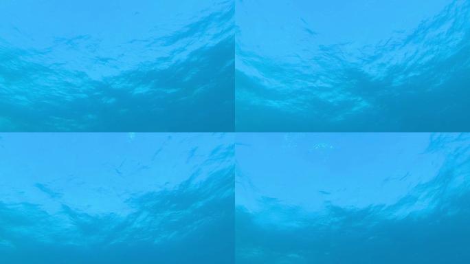 蓝色海水和海浪海底世界海洋生物三亚潜水深