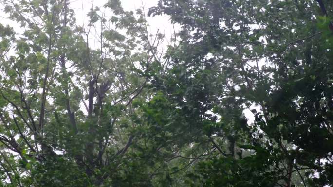 狂风暴雨