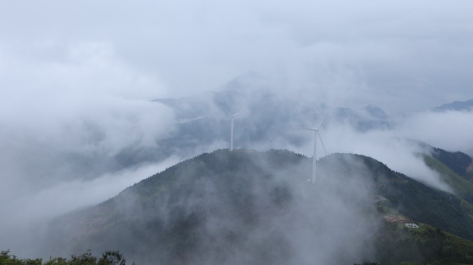 白鹤尖晨曦