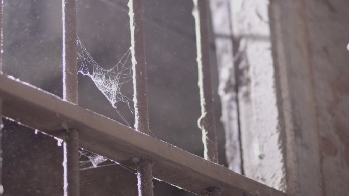 尘封的窗户上的蜘蛛网