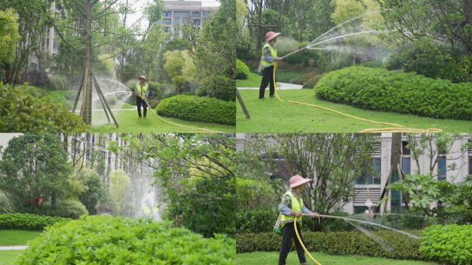 小区绿化养护城市绿化小树浇水养护工人洒水