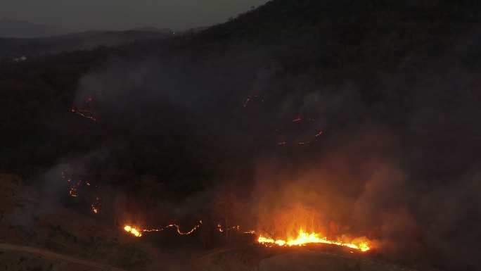 夜间森林野火