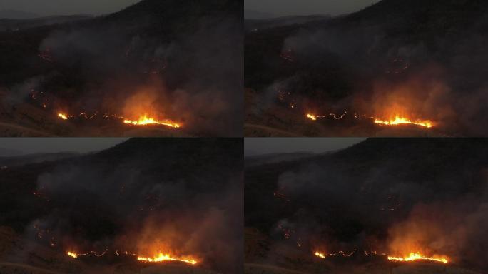 夜间森林野火