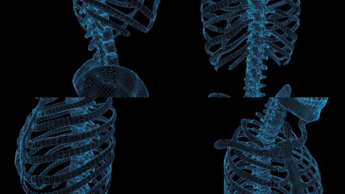 蓝色科技全息骨骼脊椎循环带通道