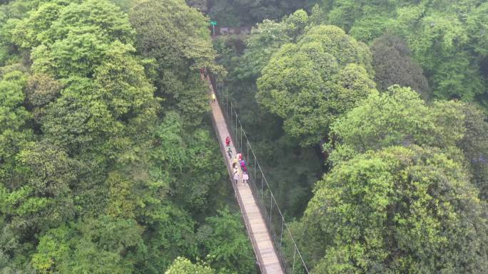 雅安蒙顶山景区4K航拍-吊桥未调色