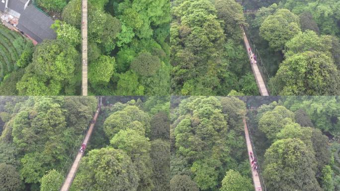 雅安蒙顶山景区4K航拍-吊桥未调色