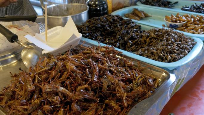 菜市场盘子里不同种类的熟昆虫。