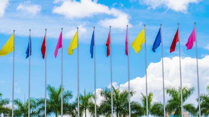 南宁国际会展中心广场的一排旗杆彩旗飘飘
