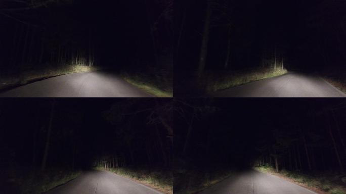 晚上在乡村森林路上开车