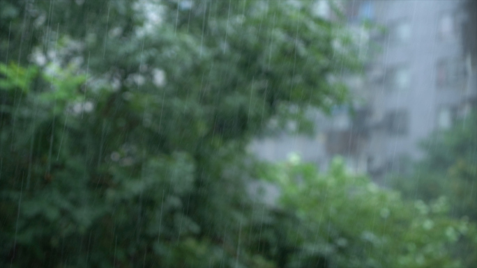 淅淅沥沥的雨