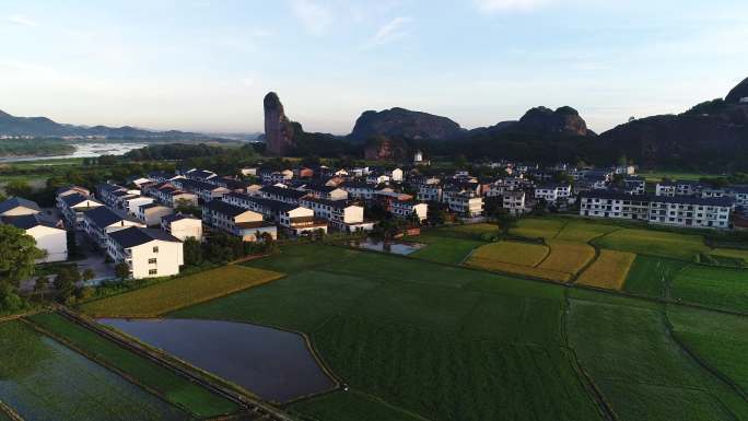 龙虎山金枪峰稻田