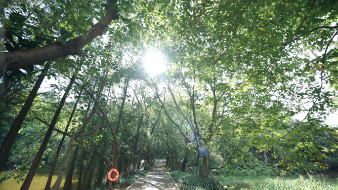 夏日暑期生活风景空镜合集视频素材