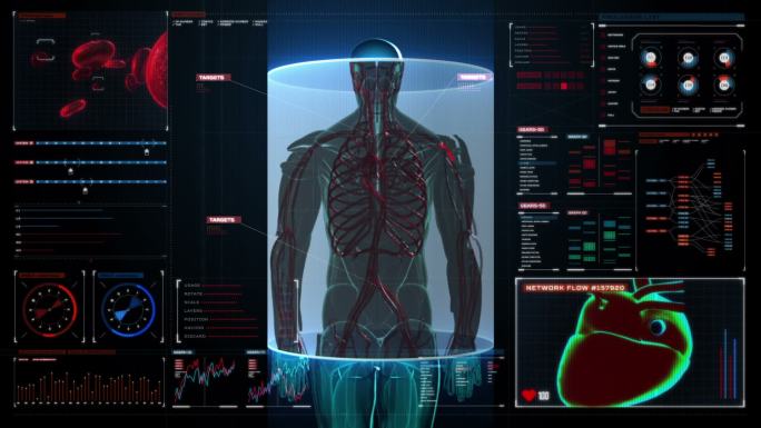男性人体血管扫描数显仪表板。