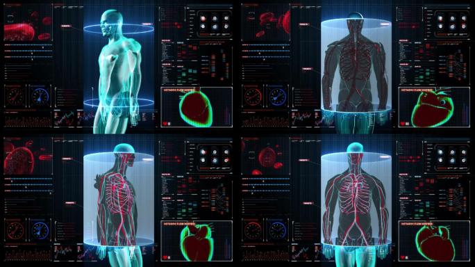 男性人体血管扫描数显仪表板。