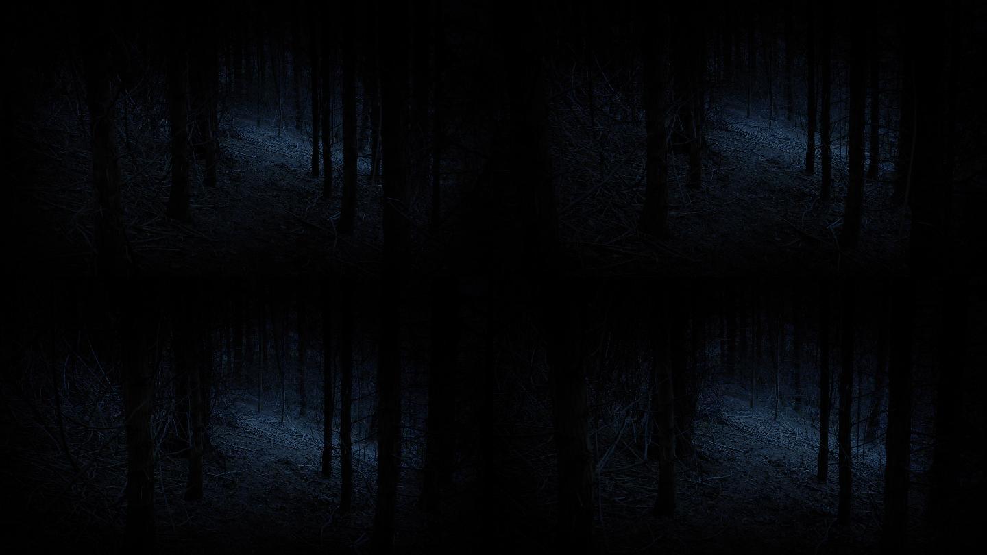 在黑暗中穿过令人毛骨悚然的树林