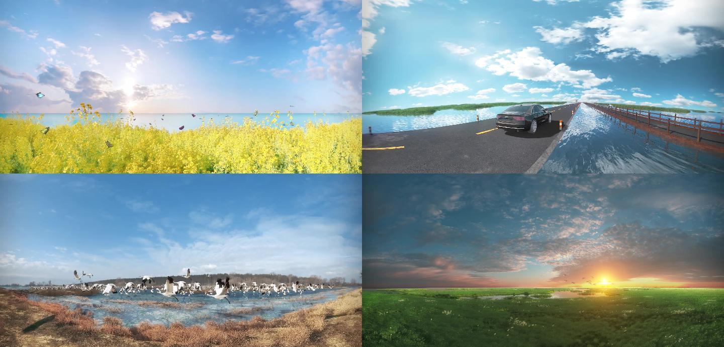 大气自然湿地环境生态保护区动画展示（总）