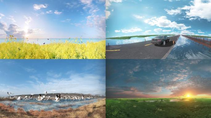 大气自然湿地环境生态保护区动画展示（总）