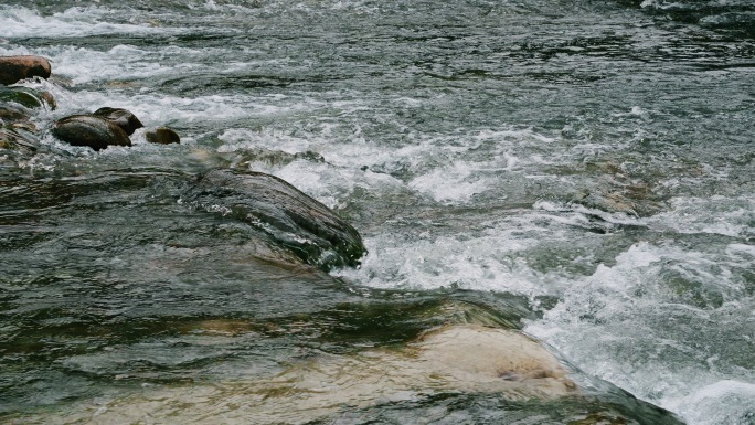大山里石塘中潺潺流淌的清澈小溪升格慢动作