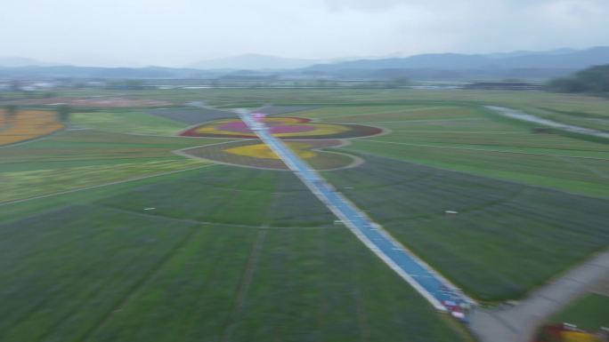 景德镇浮梁高岭花海航拍4k