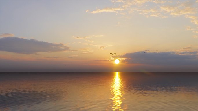 海鸥夕阳日落