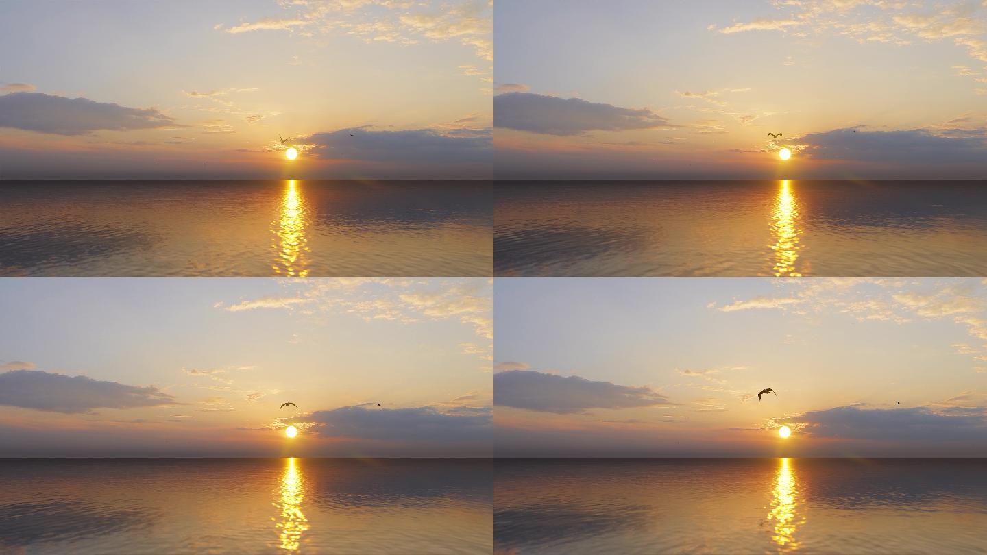 海鸥夕阳日落