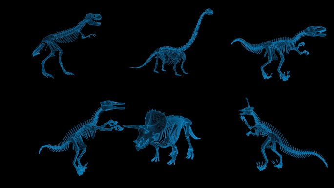 多只恐龙骨架素材旋转带通道