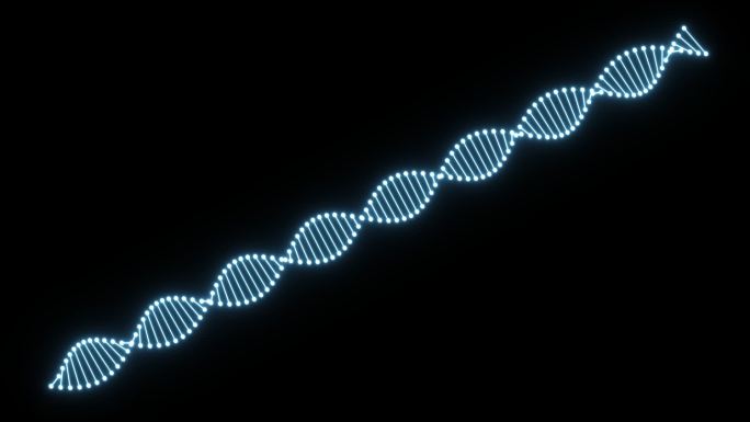 DNA链条1-透明通道