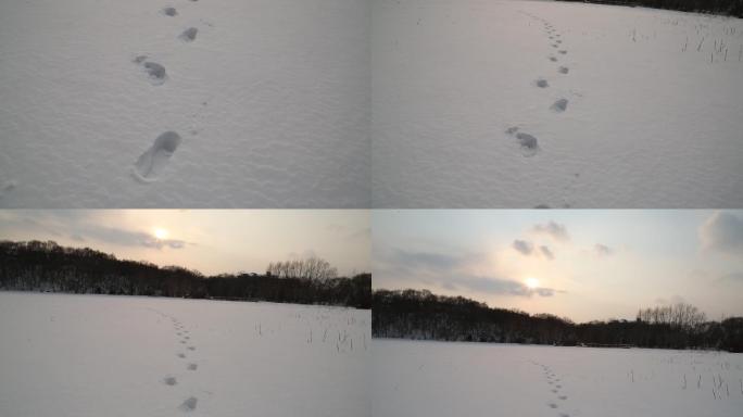 冬天户外积雪上长长的脚印