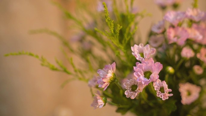 【原创】庆祝生日快乐生日蛋糕