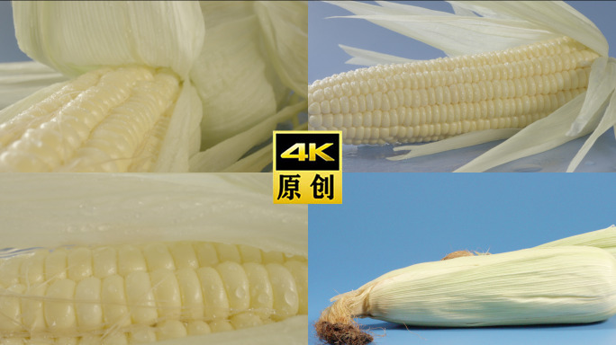 玉米-特写-灰片4K-创意拍摄